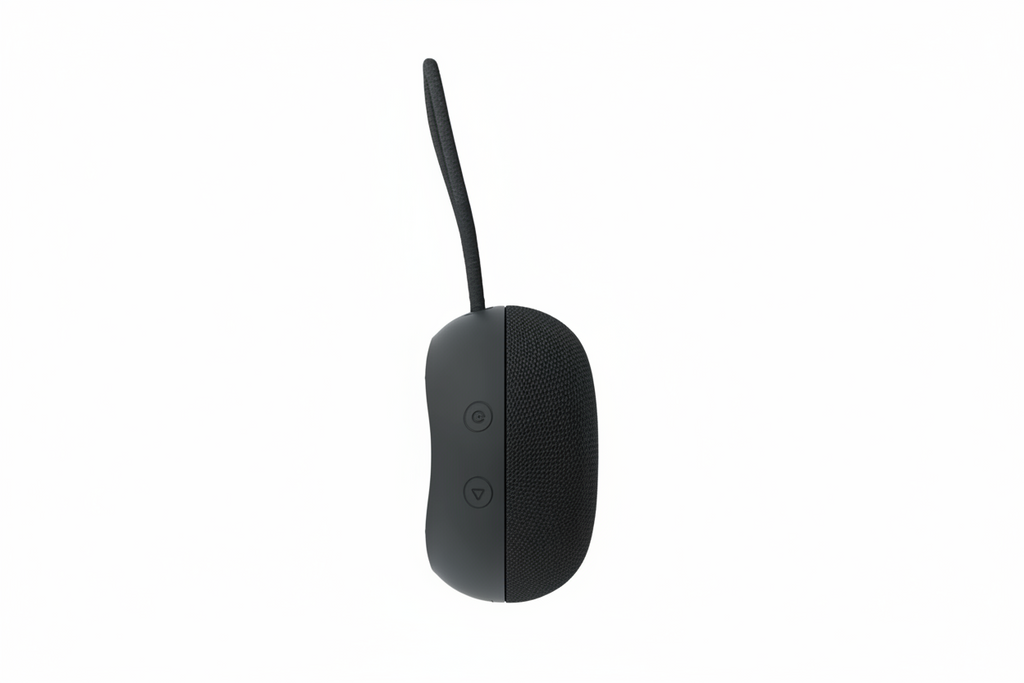 Enceinte portable sans fil Nokia SP-101 Noir Quersi