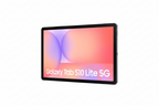 Samsung Galaxy Tab S10 Lite WiFi + 5G 128GB Gris Édition Entreprise Quersi